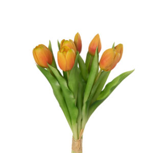BOEKET TULPEN 7STUKS PU ORANJE SMALL